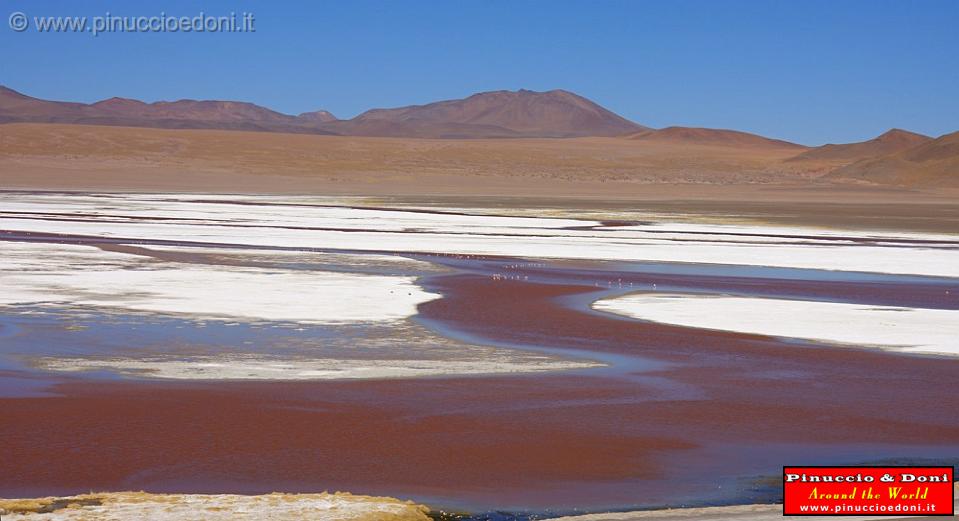 BOLIVIA 2 - Laguna Colorada - 03.jpg